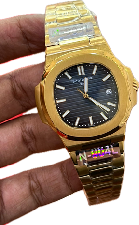 Patek philippe lots watch