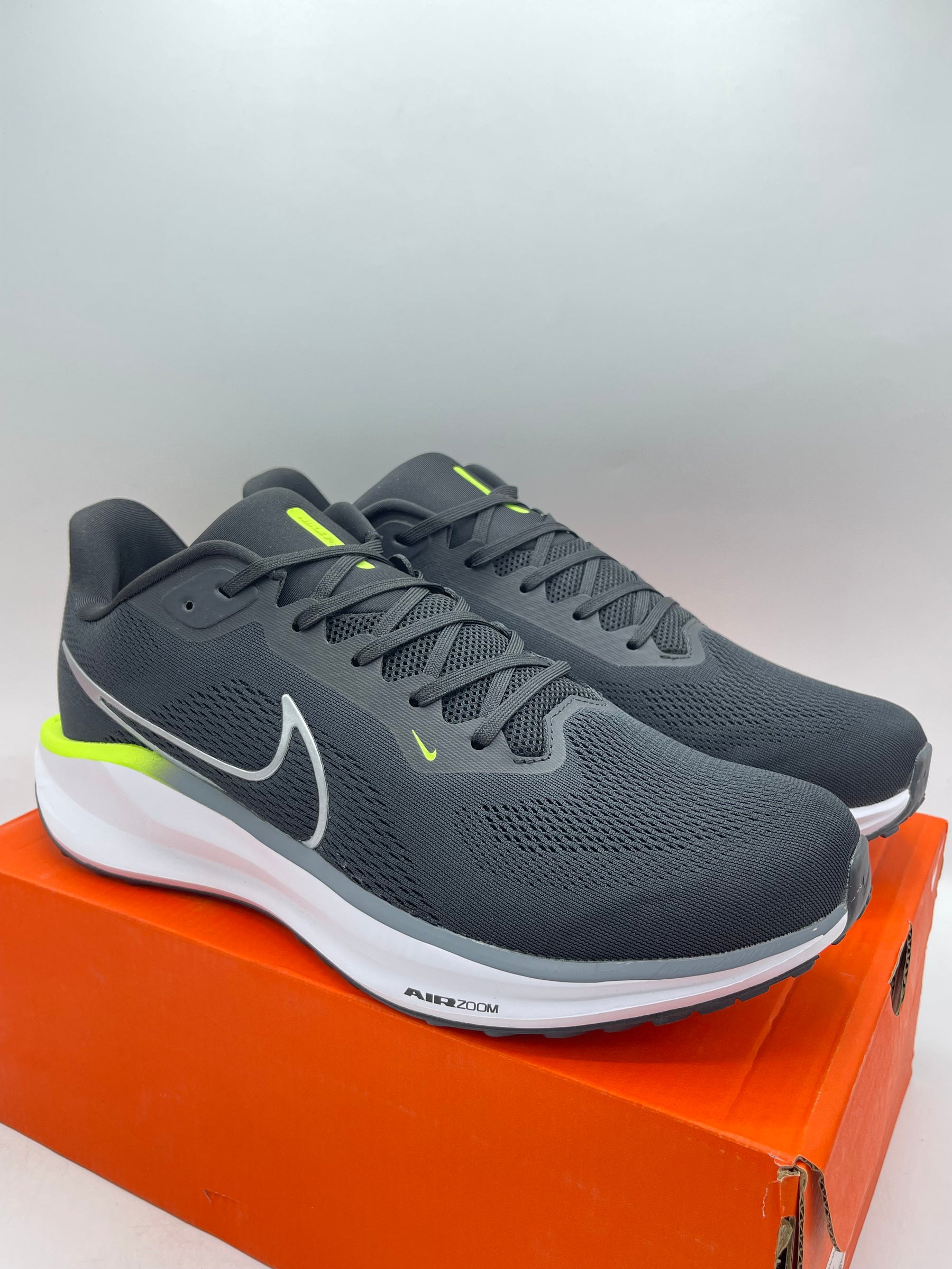 NIKE PEGASUS 41 2024